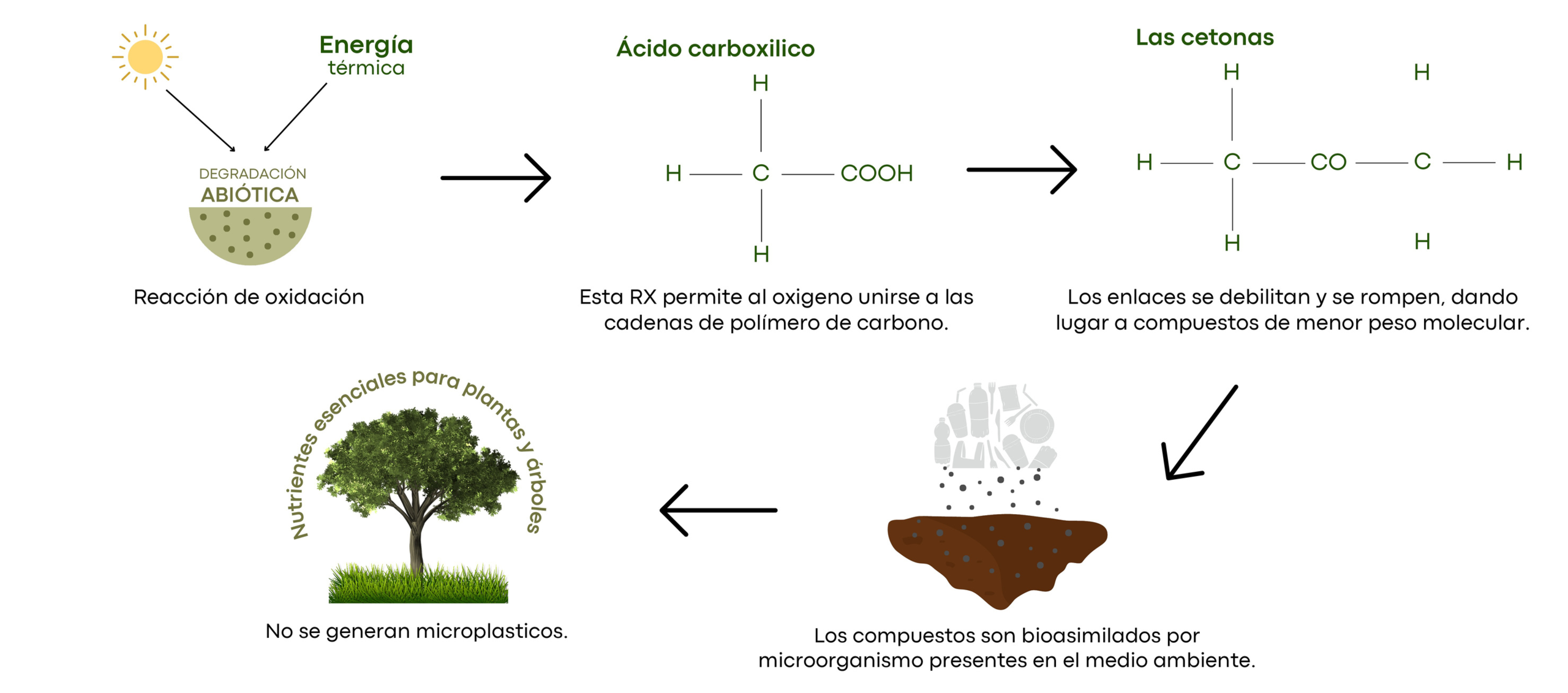 Como funciona Plife, sin titulo