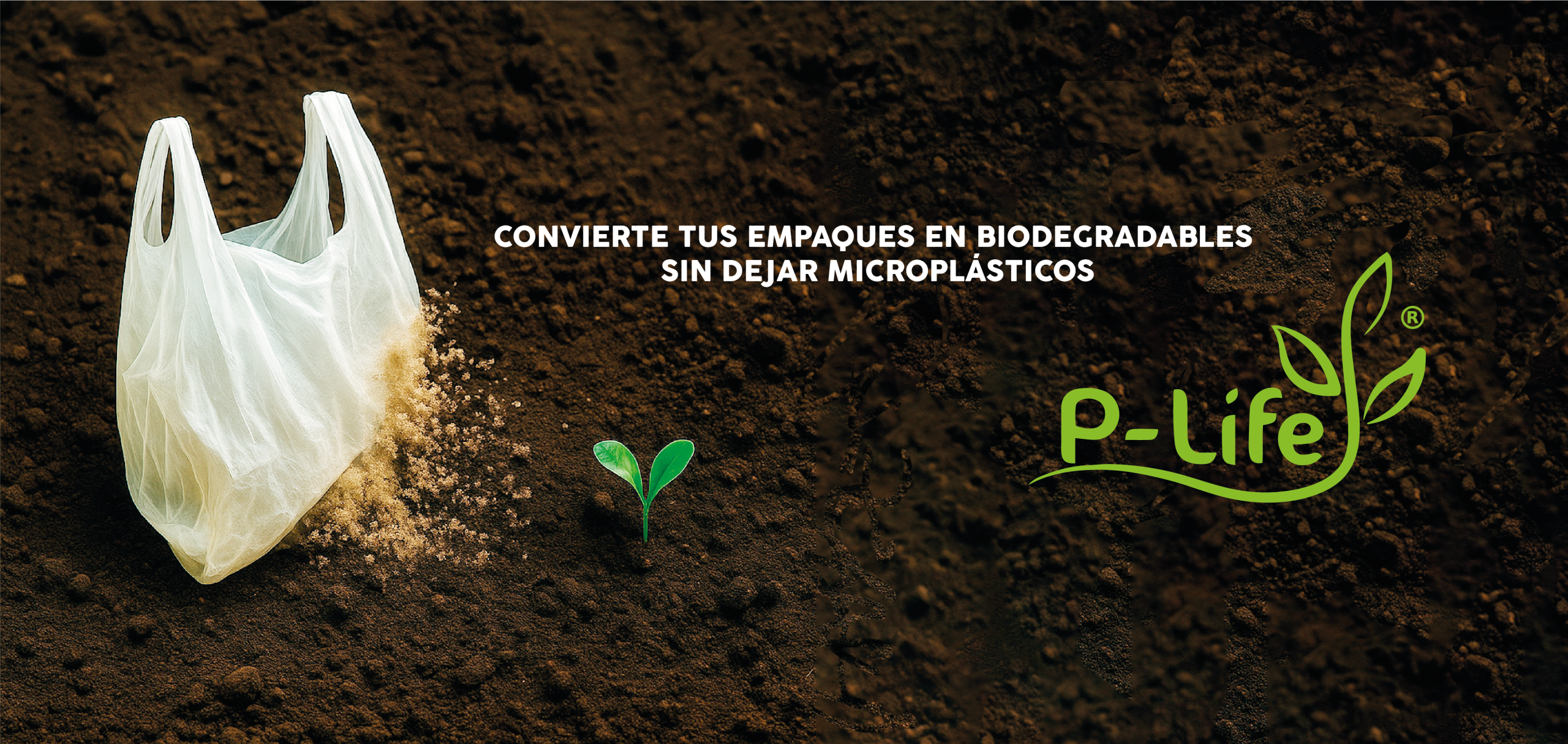 FONDO BOLSA CON PLANT-01 3